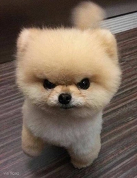 dduckbbok profile photo